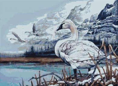 Trumpeter Swans - White Willow Stitching
