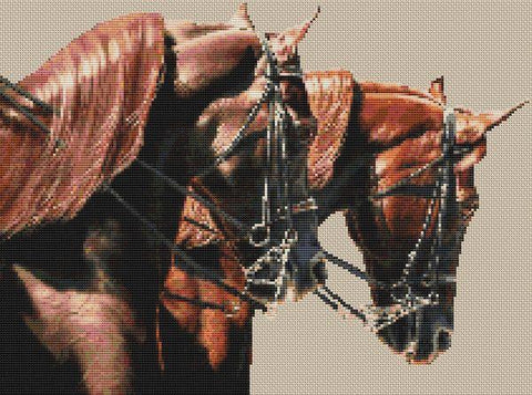 Shades Of Red - White Willow Stitching