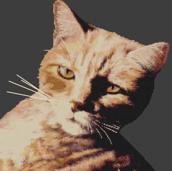 Slightly Irritated - White Willow Stitching