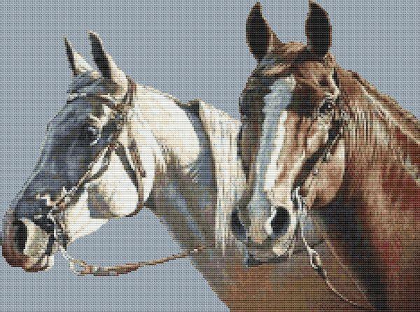 Storm And Shame - White Willow Stitching
