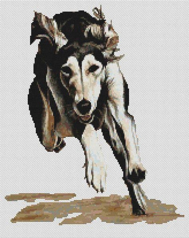 Saluki Flying - White Willow Stitching
