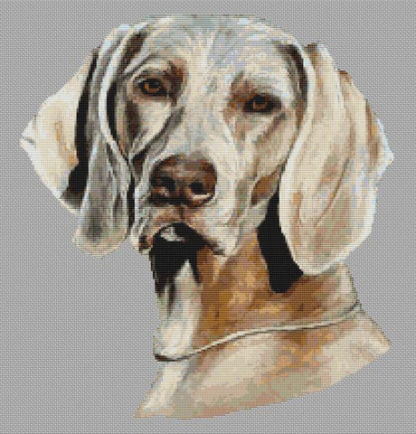 Weimaraner - White Willow Stitching