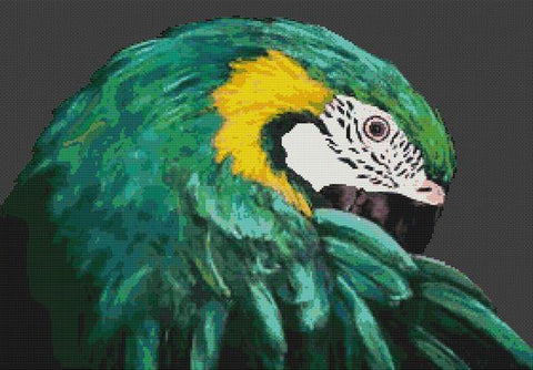 Emerald Stranger - White Willow Stitching