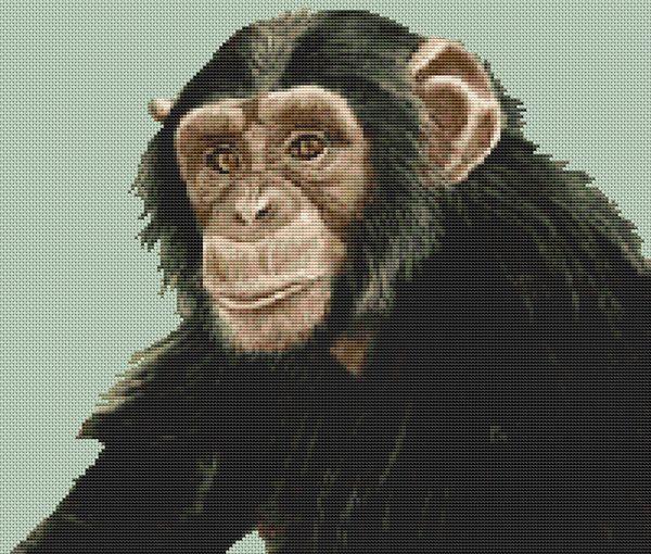 Almost Human - White Willow Stitching