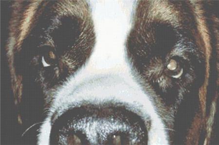 A Saint's Love - White Willow Stitching