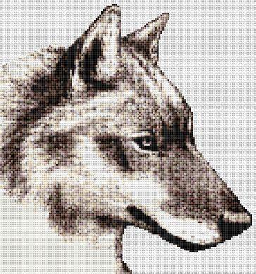 Kalinka: Wolf - White Willow Stitching