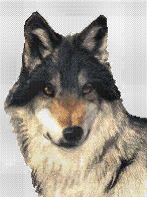 Orca The Wolf - White Willow Stitching
