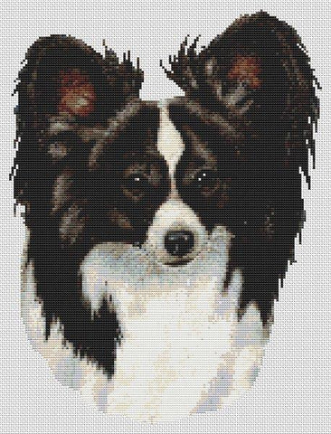 Black And White Papillon - White Willow Stitching