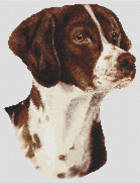 Brittany Spaniel: Liver - White Willow Stitching