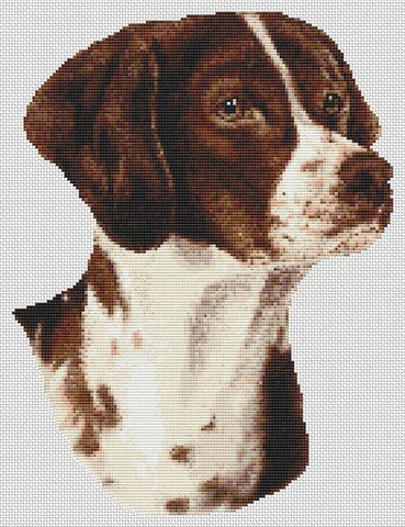 Brittany Spaniel: Liver - White Willow Stitching