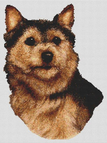 Norwich Terrier: Black and Tan - White Willow Stitching