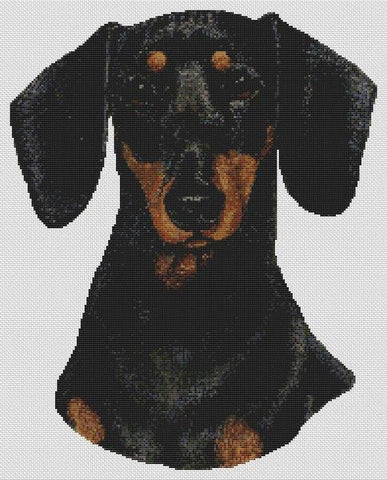 Dachshund: Black & Tan - White Willow Stitching