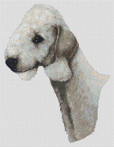 Bedlington Terrier: Blue - White Willow Stitching