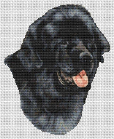 Newfoundland: Grey - White Willow Stitching