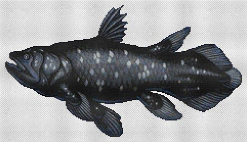 Coelacanth - White Willow Stitching
