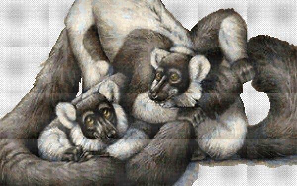 Ruffed Lemurs - White Willow Stitching