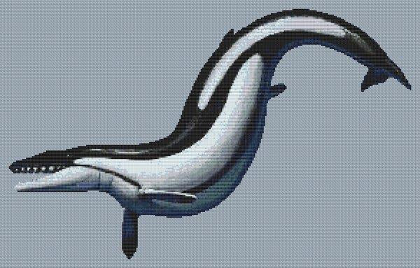 Basilosaurus - White Willow Stitching