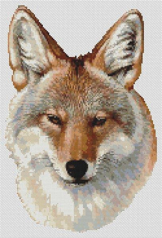 Coyote Portrait - White Willow Stitching