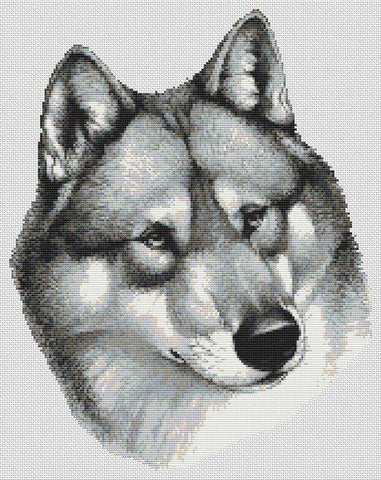 Aiko - White Willow Stitching