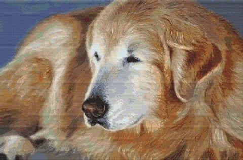 Golden Glow - White Willow Stitching