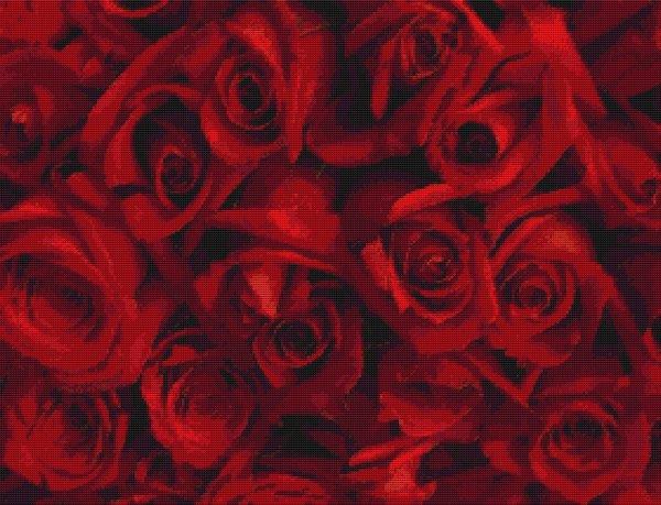 Regal Roses - White Willow Stitching
