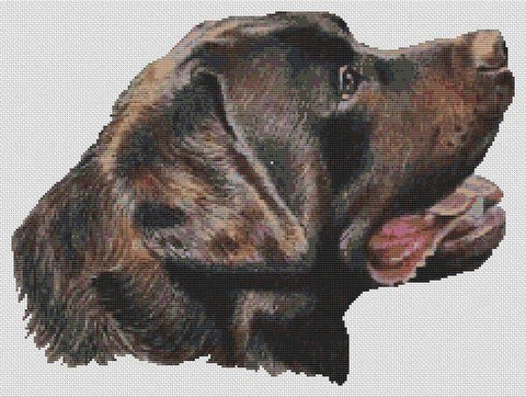 Chocolate Labrador: Mr. Chocolate - White Willow Stitching