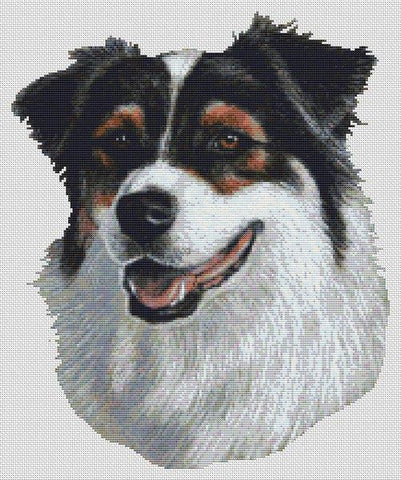 Australian Shepherd: Tri-color II - White Willow Stitching