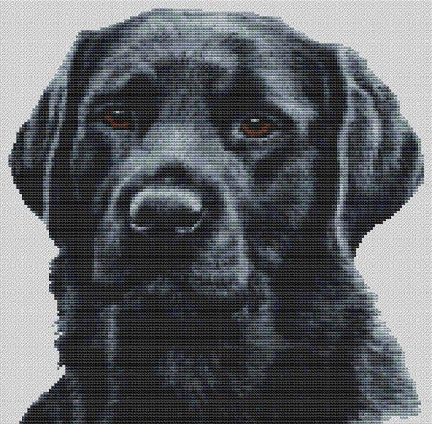 Black Lab: Dickens - White Willow Stitching