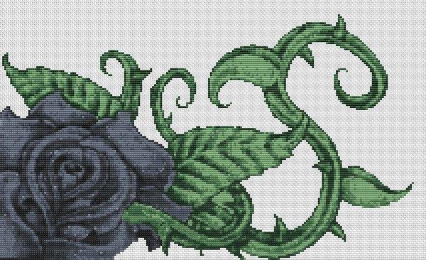 Black Rose - White Willow Stitching
