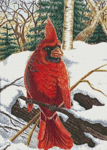 Winter Cardinal - White Willow Stitching