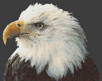 Majestic Bald Eagle - White Willow Stitching