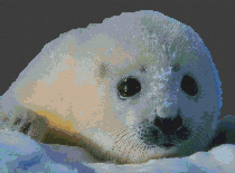Baby Seal - White Willow Stitching