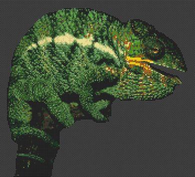 Chameleon - White Willow Stitching