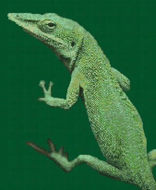 Green Anole - White Willow Stitching
