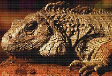 Iggy The Iguana - White Willow Stitching