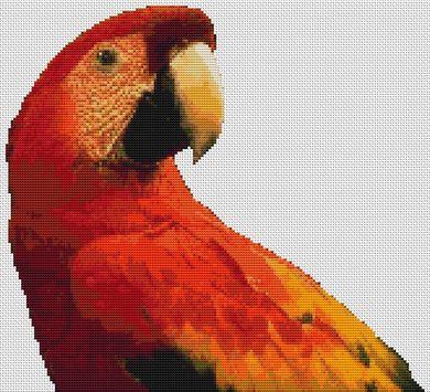 Red Macaw - White Willow Stitching