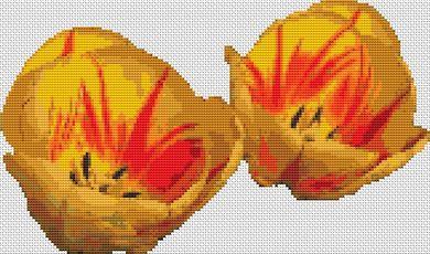Red & Yellow Tulips - White Willow Stitching