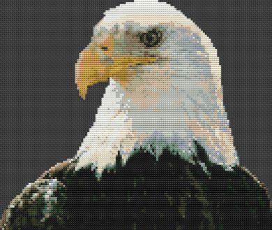 Regal Bald Eagle - White Willow Stitching