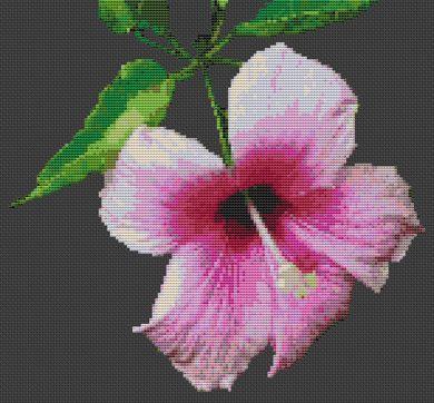 Pink Hibiscus - White Willow Stitching