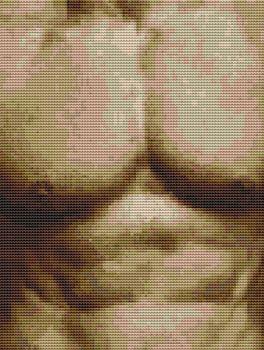 Ripped - White Willow Stitching