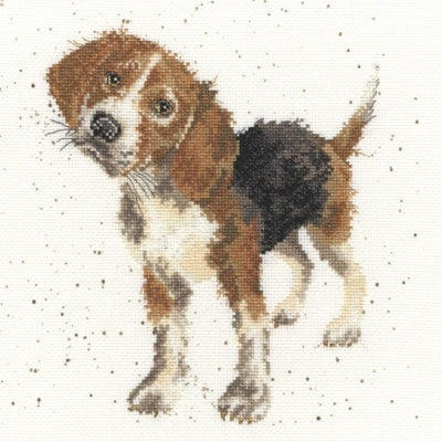 Beagle: Hannah Dale - Bothy Threads
