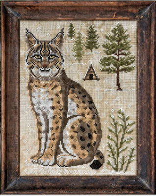 The Bobcat: A Year In The Woods II - Cottage Garden Samplings