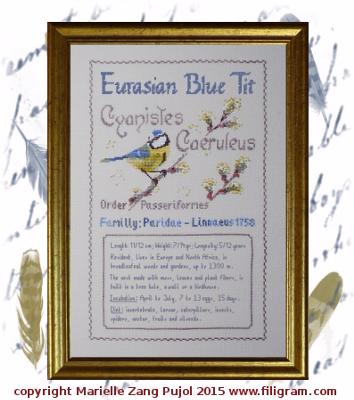 Eurasian Blue Tit: Ornithological Index Card - Filigram