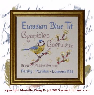 Eurasian Blue Tit - Filigram