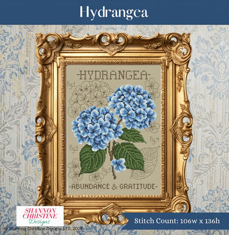 Hydrangea - Shannon Christine Designs