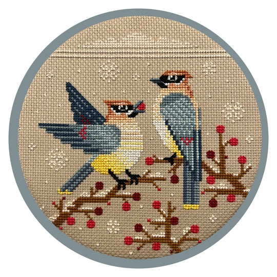 Wintry Waxwings - Pigeon Coop