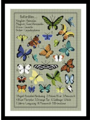 Kaleidoscope Of Butterflies - Little Dove Designs