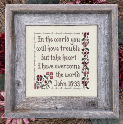 I Have Overcome The World - My Big Toe