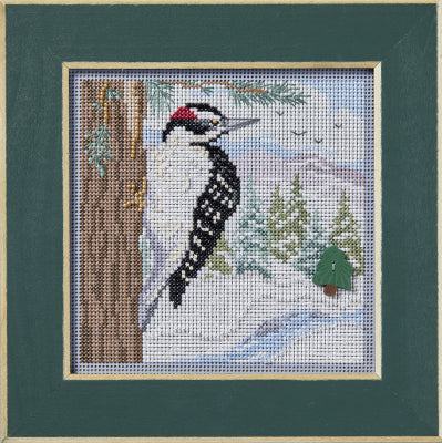 Winter Woodpecker (2024) - Mill Hill