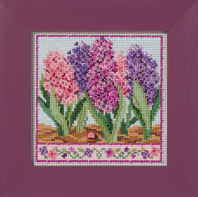 Hyacinths (2026) - Mill Hill